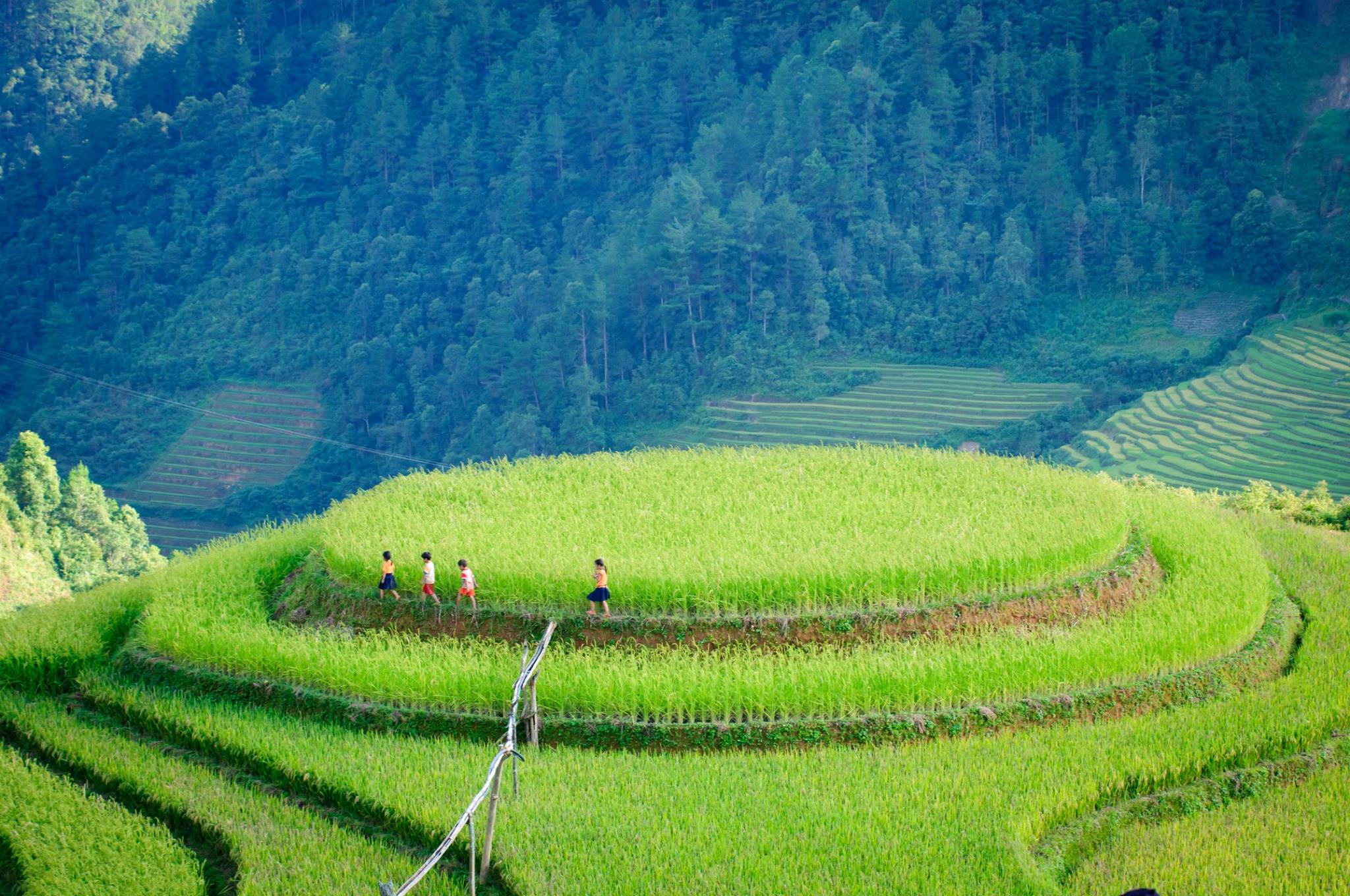 Sẽ thật tiếc khi nếu còn trẻ mà bạn vẫn chưa tới 3 địa điểm này ở vùng núi phía Bắc - Ảnh 26. Sẽ thật tiếc khi nếu còn trẻ mà bạn vẫn chưa tới 3 địa điểm này ở vùng núi phía Bắc - Ảnh 26.