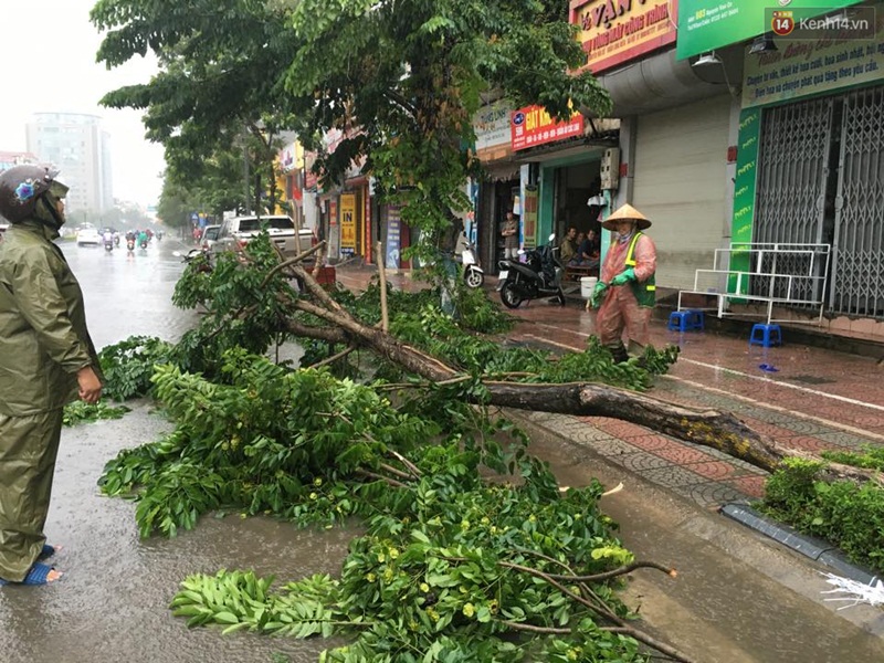 Hà Nội: Một người chết, 5 người bị thương do bão số 1 - Ảnh 5. Hà Nội: Một người chết, 5 người bị thương do bão số 1 - Ảnh 5.