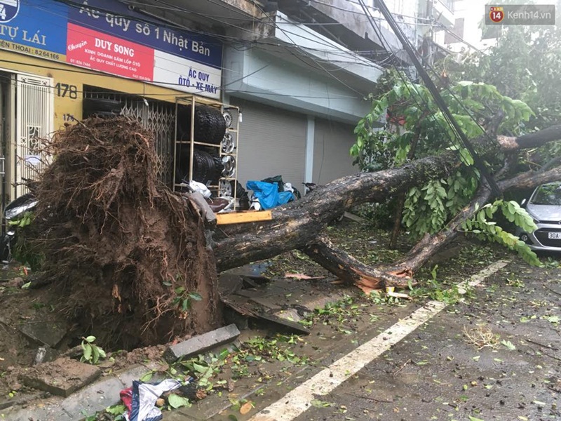 Hà Nội: Một người chết, 5 người bị thương do bão số 1 - Ảnh 11. Hà Nội: Một người chết, 5 người bị thương do bão số 1 - Ảnh 11.