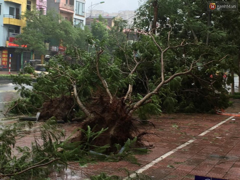 Hà Nội: Một người chết, 5 người bị thương do bão số 1 - Ảnh 9. Hà Nội: Một người chết, 5 người bị thương do bão số 1 - Ảnh 9.