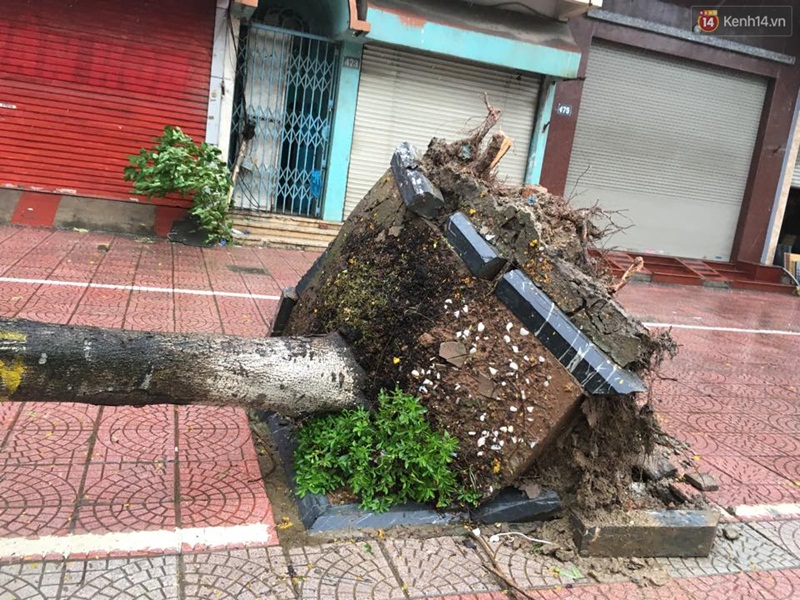 Hà Nội: Một người chết, 5 người bị thương do bão số 1 - Ảnh 10. Hà Nội: Một người chết, 5 người bị thương do bão số 1 - Ảnh 10.