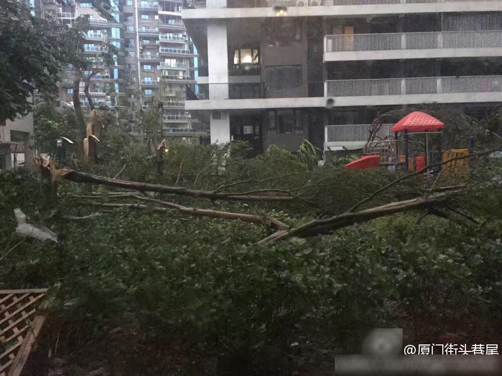 Những cảnh tượng kinh hoàng khi siêu bão mạnh nhất thế giới đổ bộ lục địa Trung Quốc - Ảnh 14. Những cảnh tượng kinh hoàng khi siêu bão mạnh nhất thế giới đổ bộ lục địa Trung Quốc - Ảnh 14.