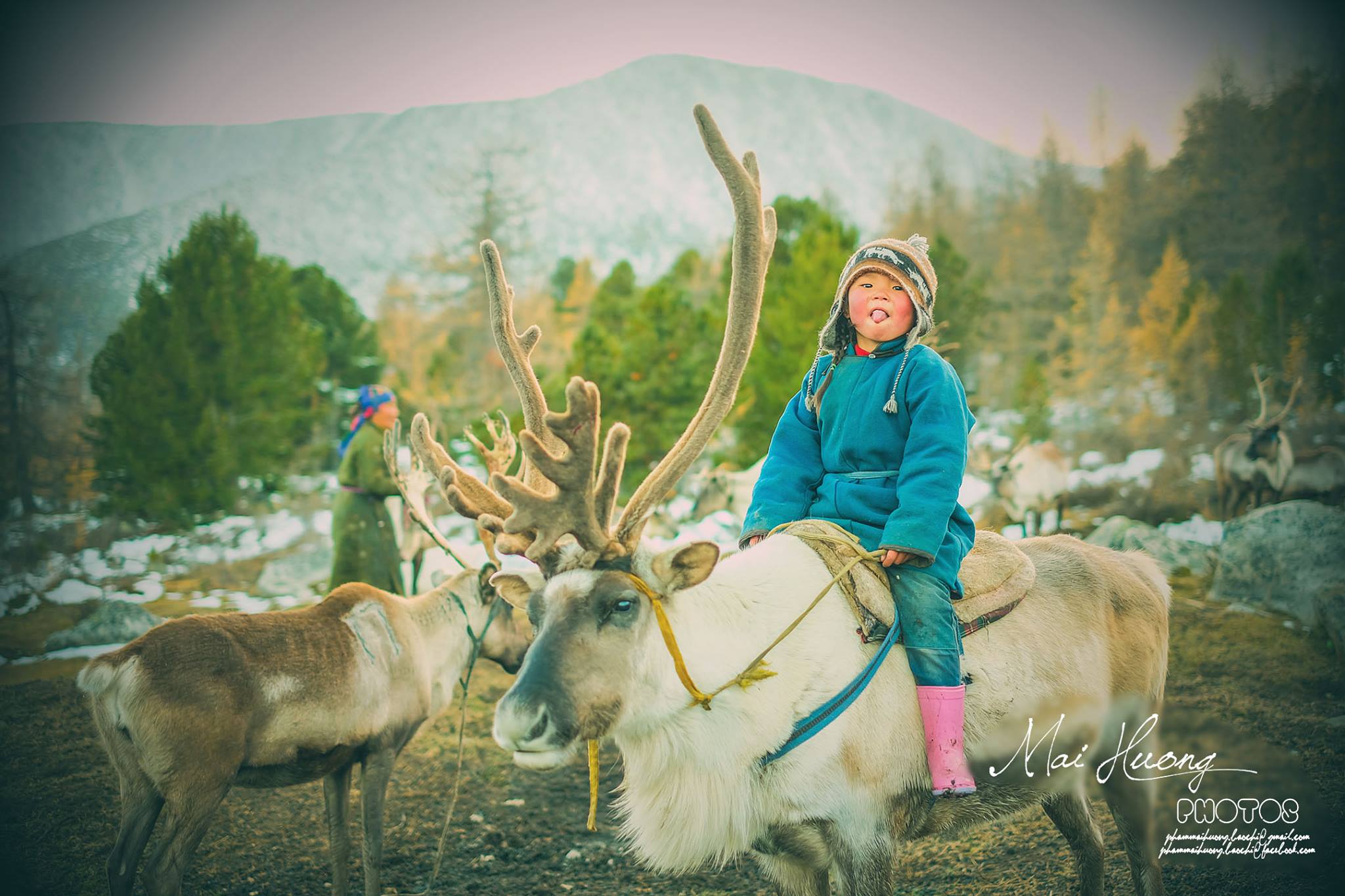 Một bộ ảnh không thể đẹp và cảm xúc hơn về chuyến hành trình tới bộ lạc tuần lộc cuối cùng ở Mông Cổ! - Ảnh 6. Một bộ ảnh không thể đẹp và cảm xúc hơn về chuyến hành trình tới bộ lạc tuần lộc cuối cùng ở Mông Cổ! - Ảnh 6.