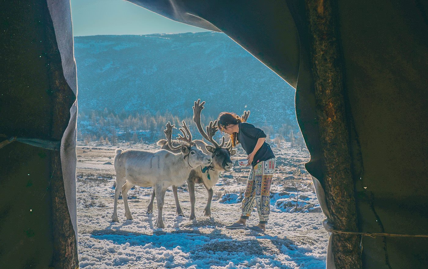 Một bộ ảnh không thể đẹp và cảm xúc hơn về chuyến hành trình tới bộ lạc tuần lộc cuối cùng ở Mông Cổ! - Ảnh 5. Một bộ ảnh không thể đẹp và cảm xúc hơn về chuyến hành trình tới bộ lạc tuần lộc cuối cùng ở Mông Cổ! - Ảnh 5.