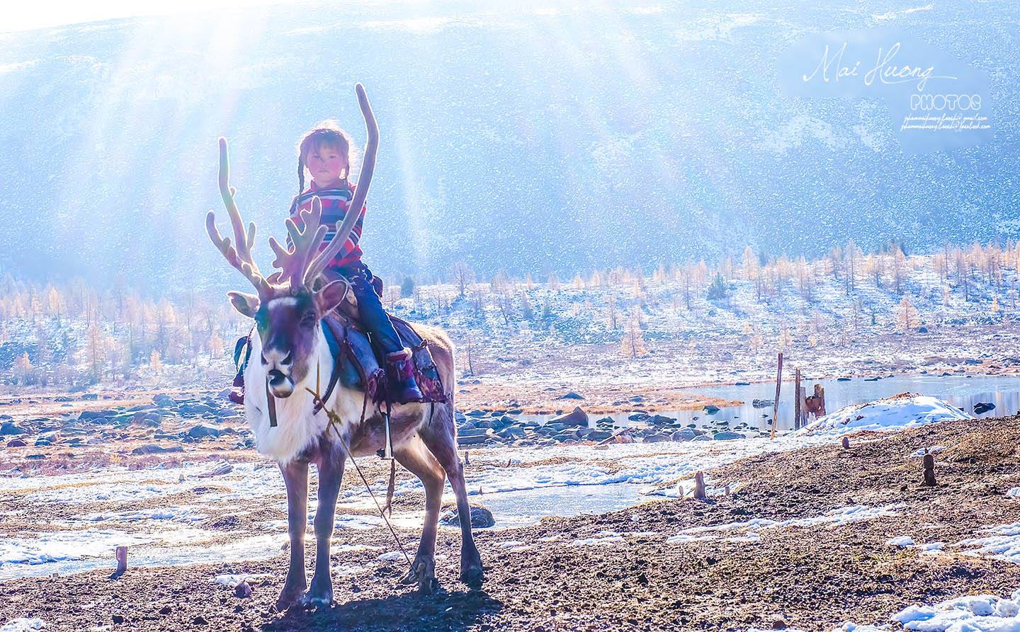 Một bộ ảnh không thể đẹp và cảm xúc hơn về chuyến hành trình tới bộ lạc tuần lộc cuối cùng ở Mông Cổ! - Ảnh 9. Một bộ ảnh không thể đẹp và cảm xúc hơn về chuyến hành trình tới bộ lạc tuần lộc cuối cùng ở Mông Cổ! - Ảnh 9.