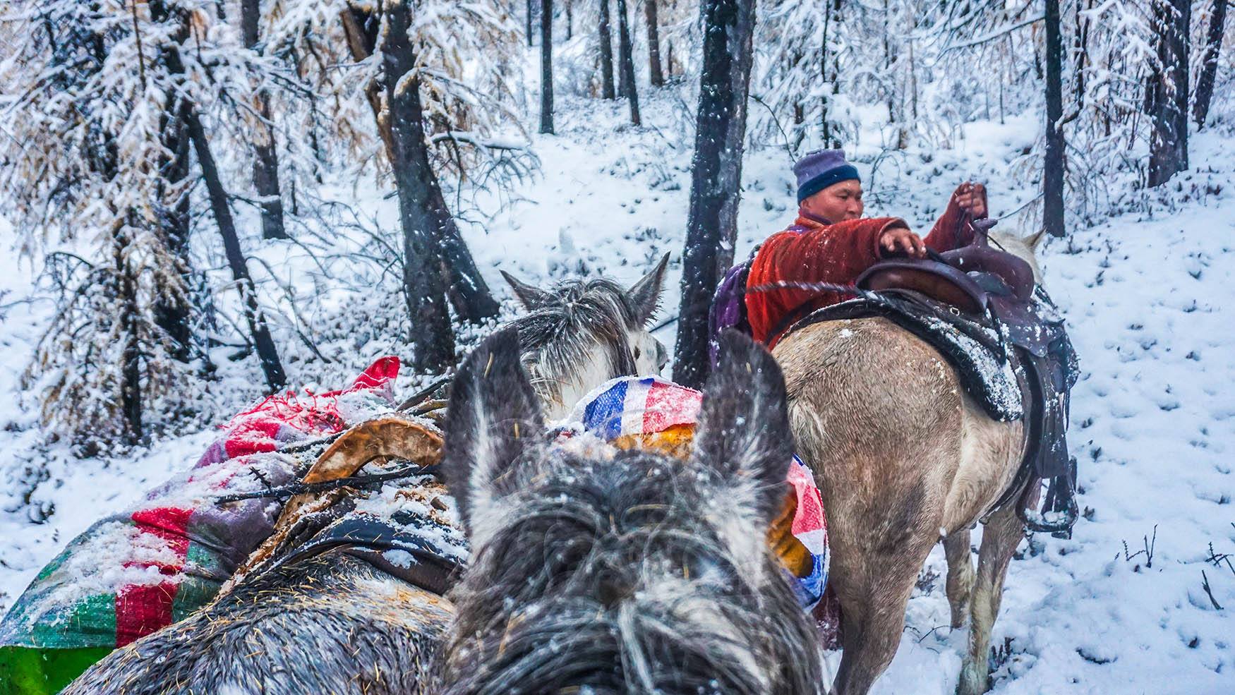 Một bộ ảnh không thể đẹp và cảm xúc hơn về chuyến hành trình tới bộ lạc tuần lộc cuối cùng ở Mông Cổ! - Ảnh 10. Một bộ ảnh không thể đẹp và cảm xúc hơn về chuyến hành trình tới bộ lạc tuần lộc cuối cùng ở Mông Cổ! - Ảnh 10.