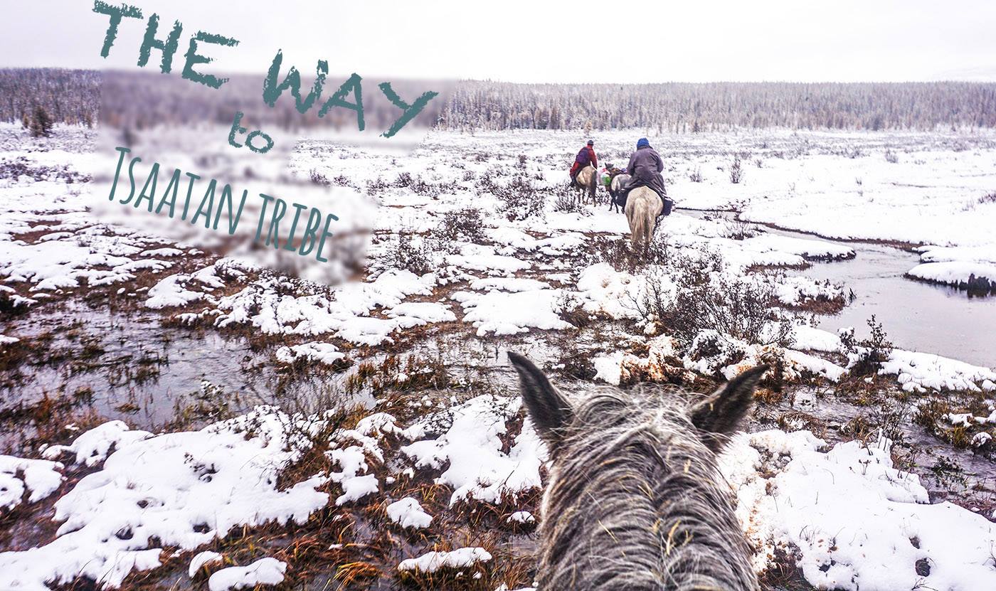 Một bộ ảnh không thể đẹp và cảm xúc hơn về chuyến hành trình tới bộ lạc tuần lộc cuối cùng ở Mông Cổ! - Ảnh 8. Một bộ ảnh không thể đẹp và cảm xúc hơn về chuyến hành trình tới bộ lạc tuần lộc cuối cùng ở Mông Cổ! - Ảnh 8.