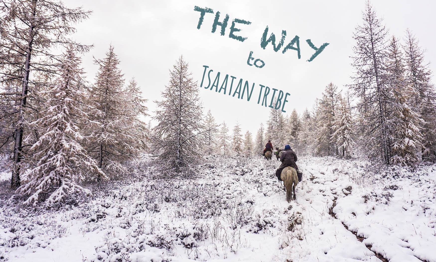 Một bộ ảnh không thể đẹp và cảm xúc hơn về chuyến hành trình tới bộ lạc tuần lộc cuối cùng ở Mông Cổ! - Ảnh 7. Một bộ ảnh không thể đẹp và cảm xúc hơn về chuyến hành trình tới bộ lạc tuần lộc cuối cùng ở Mông Cổ! - Ảnh 7.