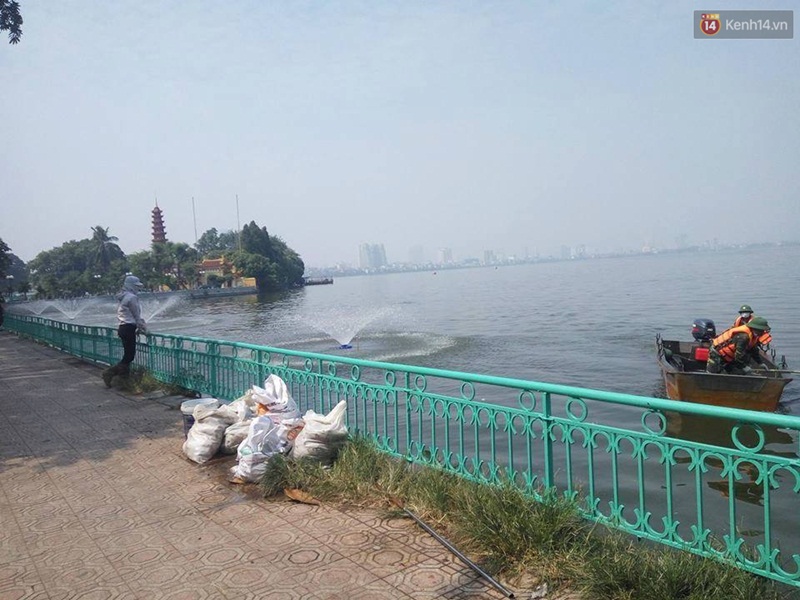 Xuất hiện đôi nam nữ đóng thùng xốp cá chết ở hồ Tây - Ảnh 4. Xuất hiện đôi nam nữ đóng thùng xốp cá chết ở hồ Tây - Ảnh 4.