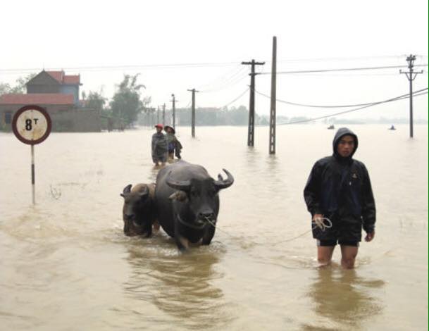 Chùm ảnh: Những hình ảnh nhói lòng về mưa lũ kinh hoàng ở miền Trung - Ảnh 18.