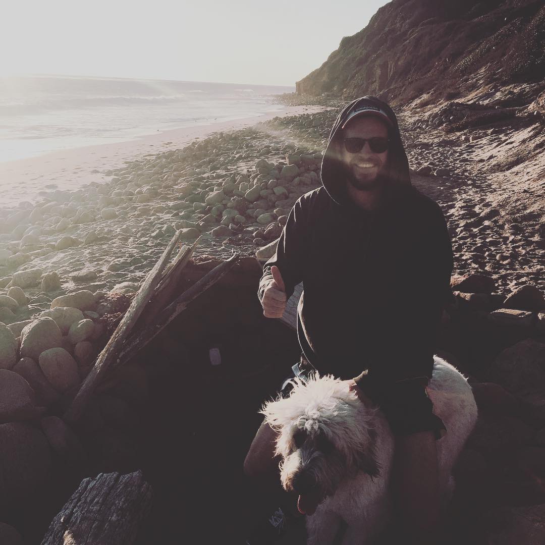 Chuyện tình với bầy cún và những khoảnh khắc Liam có Instagram dễ thương nhất 2016! - Ảnh 1. Chuyện tình với bầy cún và những khoảnh khắc Liam có Instagram dễ thương nhất 2016! - Ảnh 1.