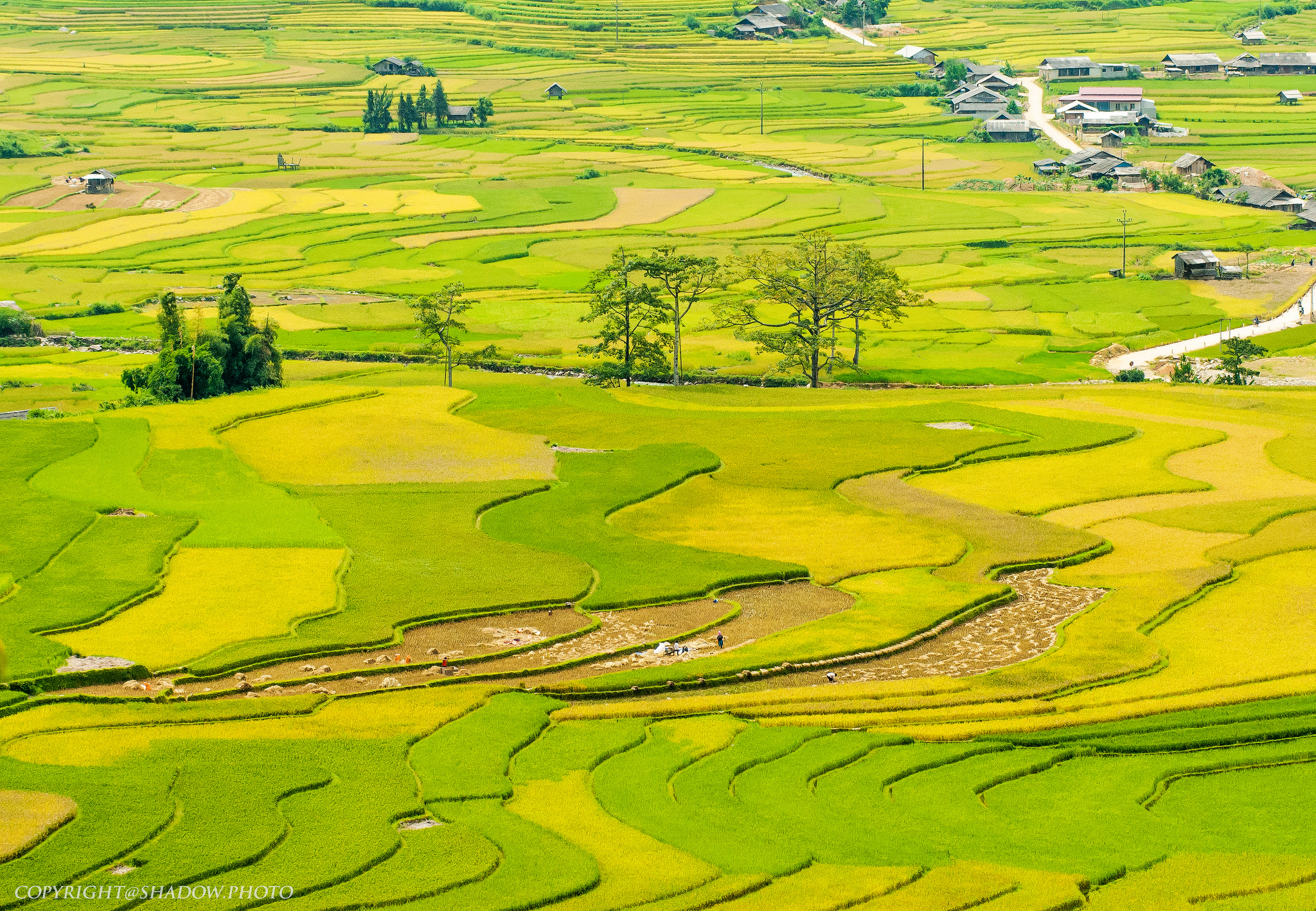 Sẽ thật tiếc khi nếu còn trẻ mà bạn vẫn chưa tới 3 địa điểm này ở vùng núi phía Bắc - Ảnh 23. Sẽ thật tiếc khi nếu còn trẻ mà bạn vẫn chưa tới 3 địa điểm này ở vùng núi phía Bắc - Ảnh 23.