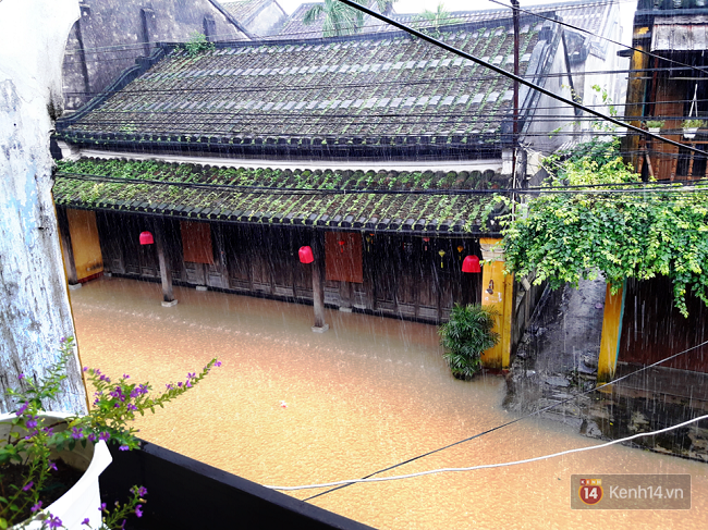 Hội An ngập trong nước lũ, dịch vụ chèo thuyền ngắm phố cổ hút khách - Ảnh 2.