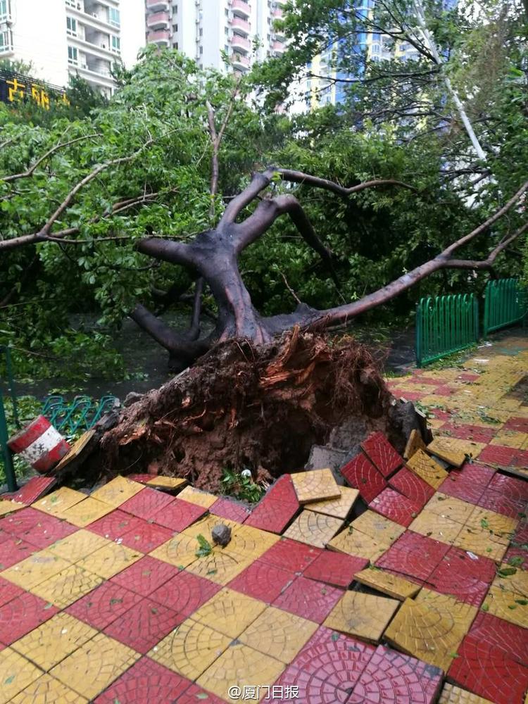 Những cảnh tượng kinh hoàng khi siêu bão mạnh nhất thế giới đổ bộ lục địa Trung Quốc - Ảnh 12. Những cảnh tượng kinh hoàng khi siêu bão mạnh nhất thế giới đổ bộ lục địa Trung Quốc - Ảnh 12.