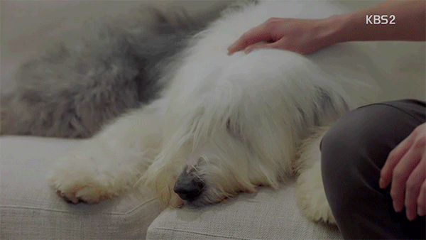 11 điều thú vị có thể bạn chưa biết trong phim Uncontrollably Fond - Ảnh 27.