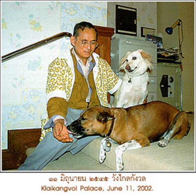 Không chỉ là biểu tượng của đạo đức và trí tuệ, Quốc vương Thái Lan còn nổi tiếng bởi tình yêu dành cho động vật - Ảnh 2.