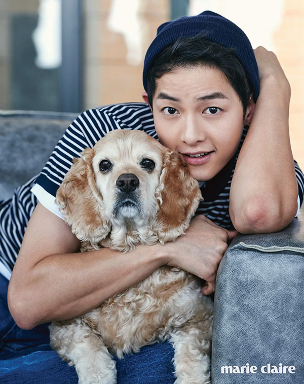 Song Joong Ki sẽ thế nào nếu kết đôi cùng Park Shin Hye trong tương lai? - Ảnh 15.