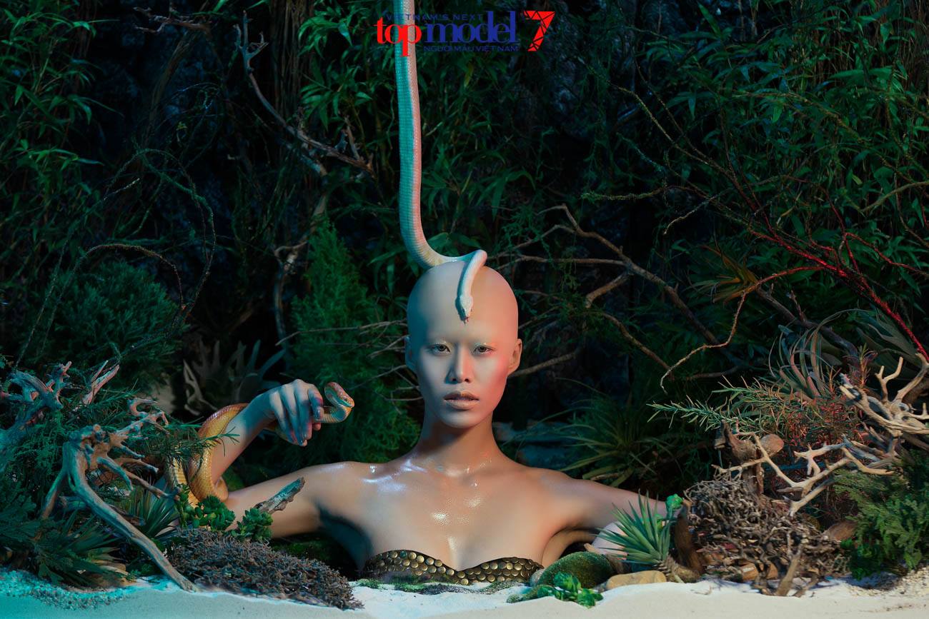 Top Model Comeback: Chỉ còn 2 ngày để cứu Thu Hường, Minh Phong, Thiếu Lan! - Ảnh 10. Top Model Comeback: Chỉ còn 2 ngày để cứu Thu Hường, Minh Phong, Thiếu Lan! - Ảnh 10.