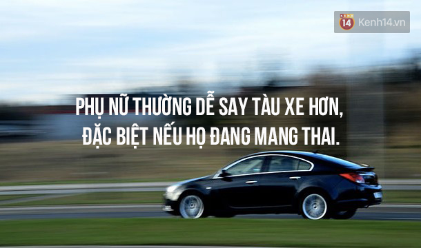 11 điểm khác biệt không ai ngờ đến về 2 nửa của thế giới - Ảnh 11.