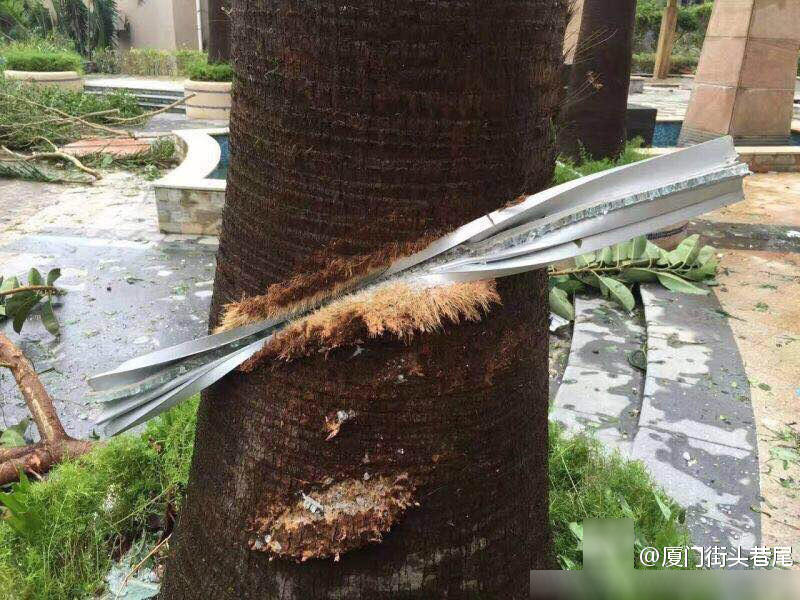 Những cảnh tượng kinh hoàng khi siêu bão mạnh nhất thế giới đổ bộ lục địa Trung Quốc - Ảnh 6. Những cảnh tượng kinh hoàng khi siêu bão mạnh nhất thế giới đổ bộ lục địa Trung Quốc - Ảnh 6.