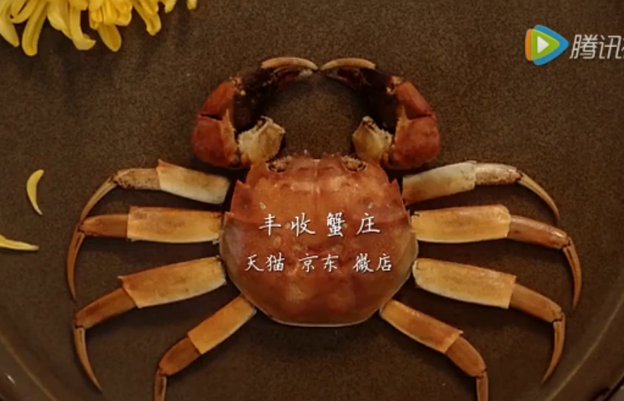 Bạn có biết ăn cua theo kiểu quý tộc cũng là cả một nghệ thuật? - Ảnh 3. Bạn có biết ăn cua theo kiểu quý tộc cũng là cả một nghệ thuật? - Ảnh 3.