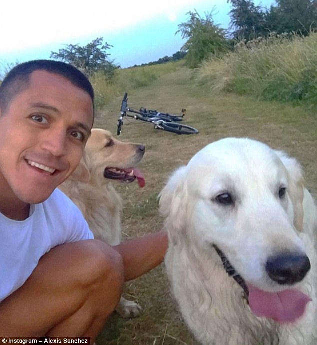 2 chú chó của Alexis Sanchez với lượt theo dõi khủng trên Instagram 4