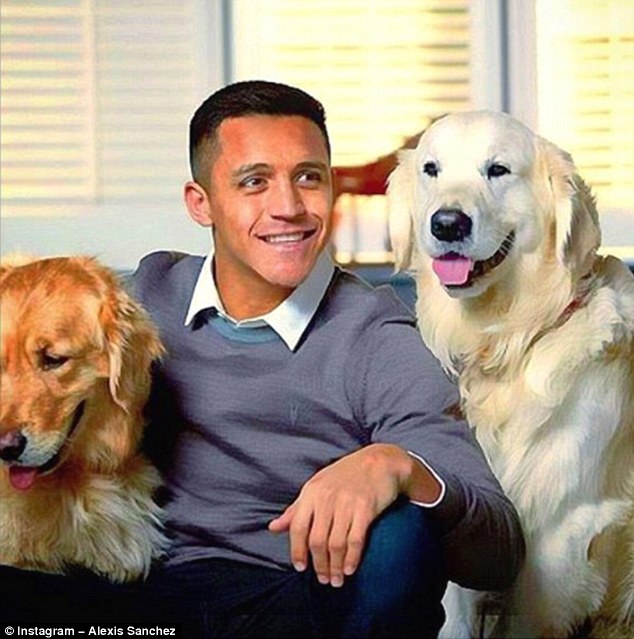 2 chú chó của Alexis Sanchez với lượt theo dõi khủng trên Instagram 7