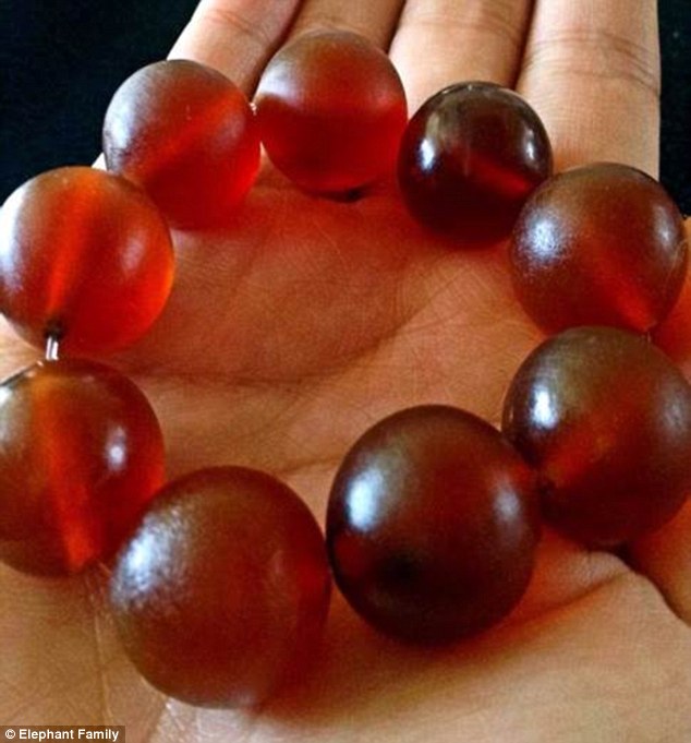 Chú voi rừng chết thảm với một phần cơ thể bị lột da hoàn toàn - Ảnh 3. Chú voi rừng chết thảm với một phần cơ thể bị lột da hoàn toàn - Ảnh 3.