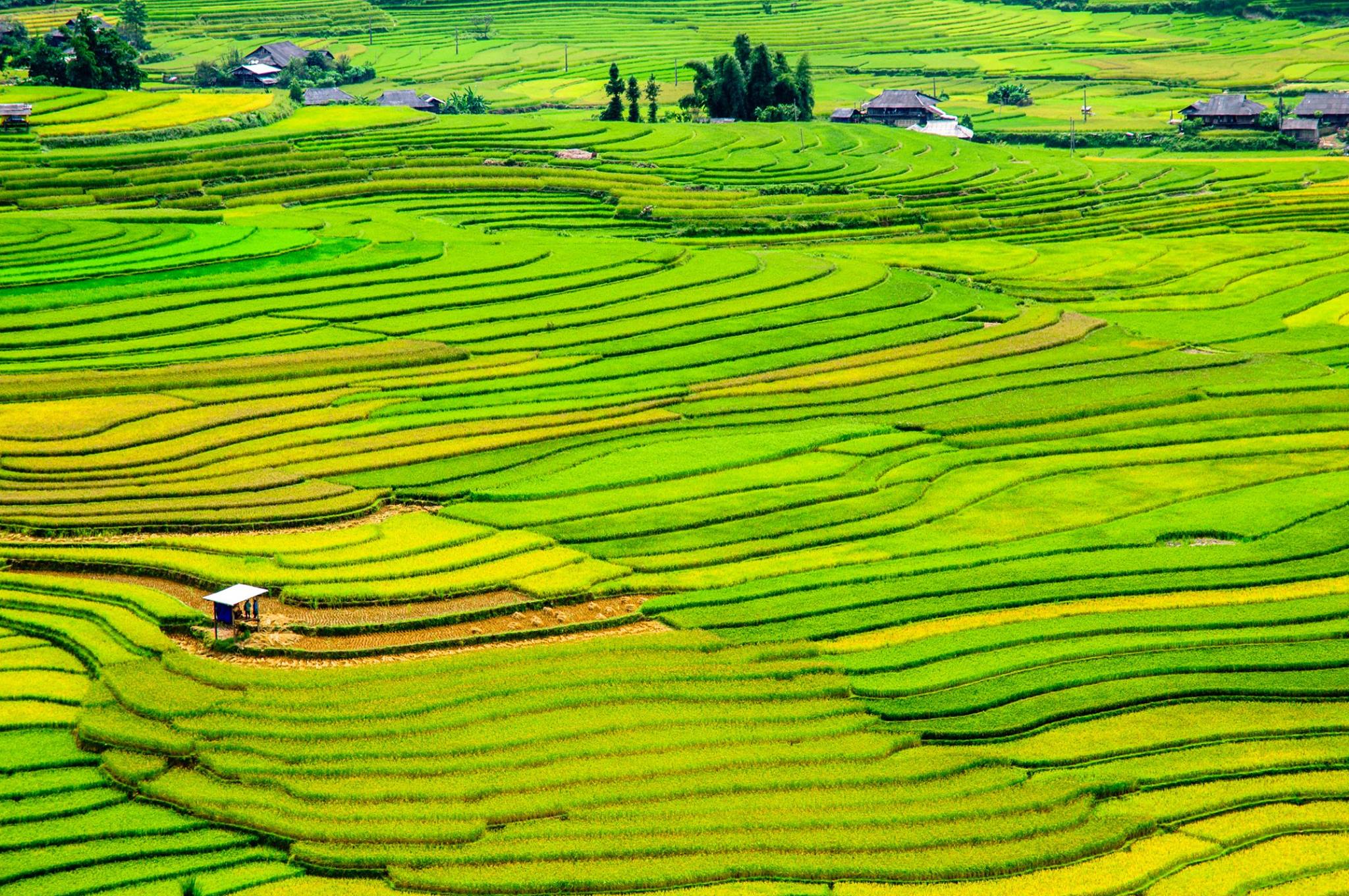 Sẽ thật tiếc khi nếu còn trẻ mà bạn vẫn chưa tới 3 địa điểm này ở vùng núi phía Bắc - Ảnh 24. Sẽ thật tiếc khi nếu còn trẻ mà bạn vẫn chưa tới 3 địa điểm này ở vùng núi phía Bắc - Ảnh 24.