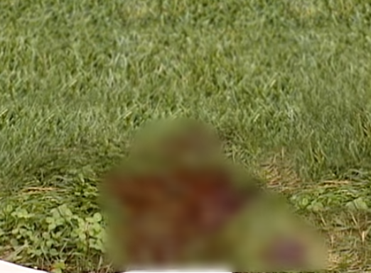 3 sợi lông tay vạch mặt cảnh sát đồng tính giết người - Ảnh 5. 3 sợi lông tay vạch mặt cảnh sát đồng tính giết người - Ảnh 5.