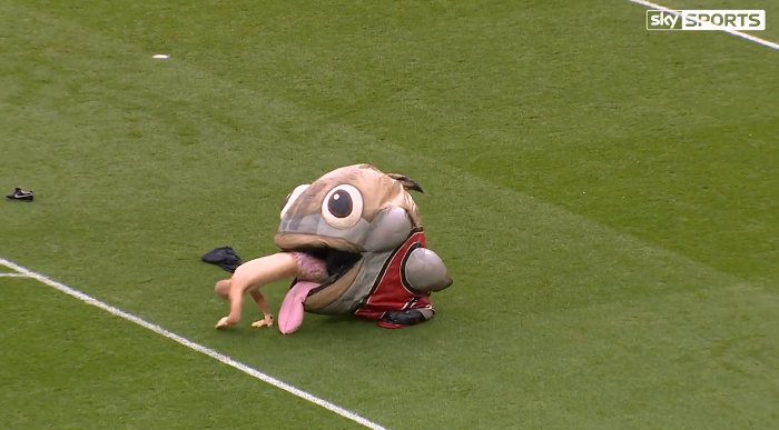 Rơi hết quần áo sau khi bị linh vật nuốt chửng rồi... nhè ra - Ảnh 3. Rơi hết quần áo sau khi bị linh vật nuốt chửng rồi... nhè ra - Ảnh 3.