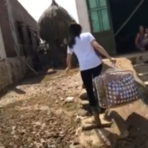Không chỉ Phan Anh, Hà Hồ mà hàng loạt sao Việt cũng lên đường cứu trợ bà con miền Trung - Ảnh 10. Không chỉ Phan Anh, Hà Hồ mà hàng loạt sao Việt cũng lên đường cứu trợ bà con miền Trung - Ảnh 10.