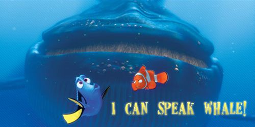 5 trứng phục sinh ở Finding Dory sẽ khiến bạn nhớ tới Finding Nemo - Ảnh 5. 5 trứng phục sinh ở Finding Dory sẽ khiến bạn nhớ tới Finding Nemo - Ảnh 5.