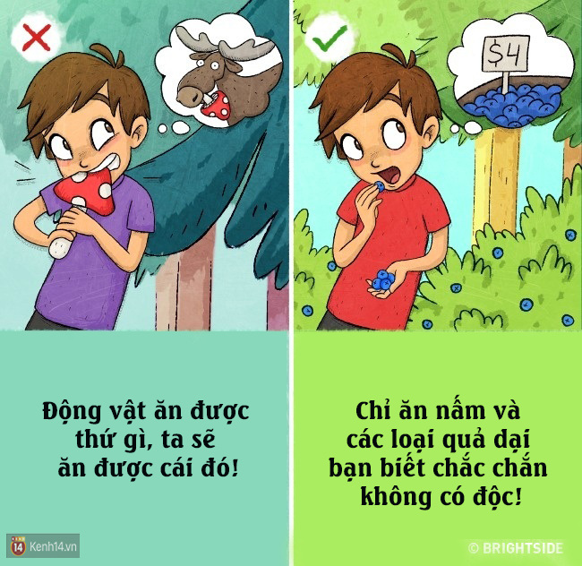 9 bí kíp sinh tồn sai be bét có cơ may báo hại bạn vào một ngày nào đó - Ảnh 6.