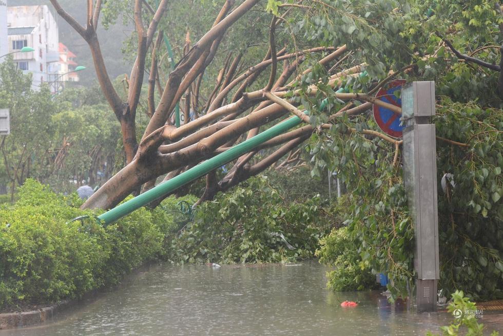 Những cảnh tượng kinh hoàng khi siêu bão mạnh nhất thế giới đổ bộ lục địa Trung Quốc - Ảnh 22. Những cảnh tượng kinh hoàng khi siêu bão mạnh nhất thế giới đổ bộ lục địa Trung Quốc - Ảnh 22.