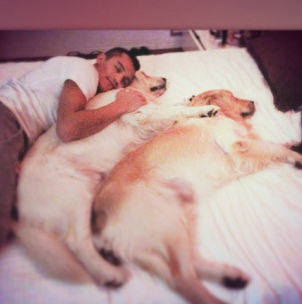 2 chú chó của Alexis Sanchez với lượt theo dõi khủng trên Instagram 5