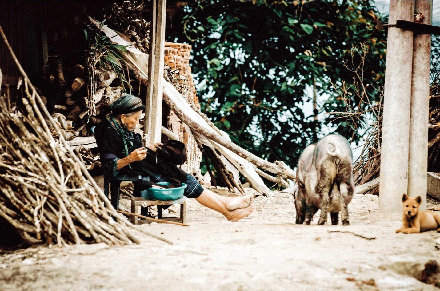 Sẽ thật tiếc khi nếu còn trẻ mà bạn vẫn chưa tới 3 địa điểm này ở vùng núi phía Bắc - Ảnh 30. Sẽ thật tiếc khi nếu còn trẻ mà bạn vẫn chưa tới 3 địa điểm này ở vùng núi phía Bắc - Ảnh 30.