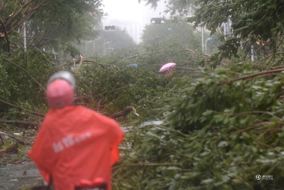 Những cảnh tượng kinh hoàng khi siêu bão mạnh nhất thế giới đổ bộ lục địa Trung Quốc - Ảnh 21. Những cảnh tượng kinh hoàng khi siêu bão mạnh nhất thế giới đổ bộ lục địa Trung Quốc - Ảnh 21.