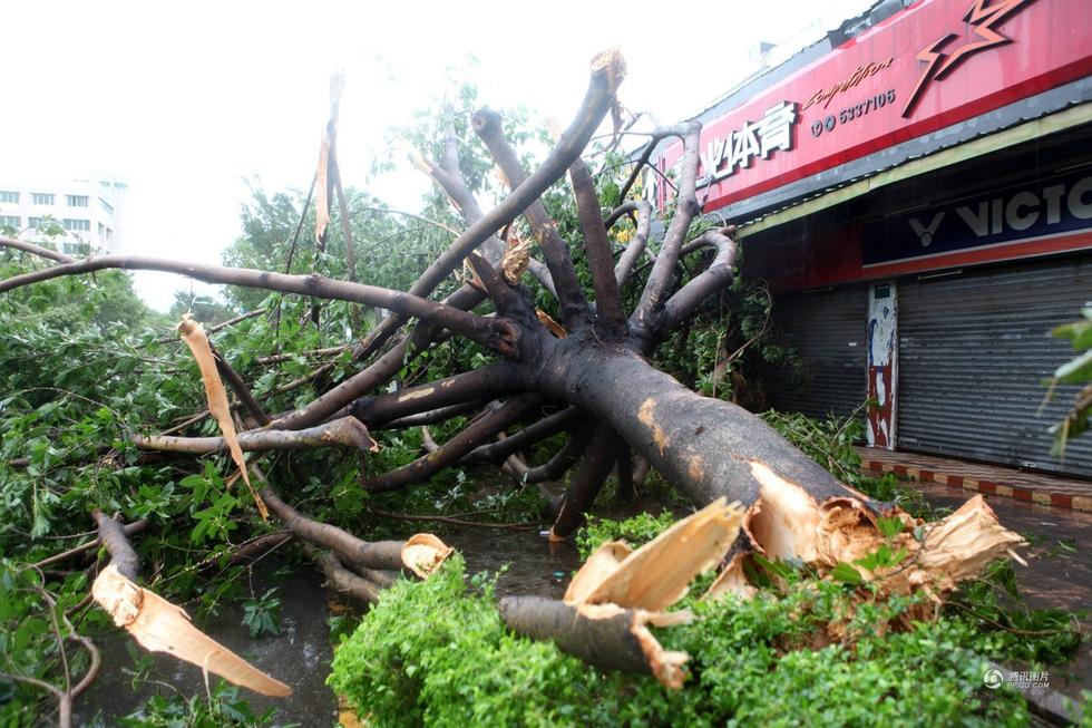 Những cảnh tượng kinh hoàng khi siêu bão mạnh nhất thế giới đổ bộ lục địa Trung Quốc - Ảnh 1. Những cảnh tượng kinh hoàng khi siêu bão mạnh nhất thế giới đổ bộ lục địa Trung Quốc - Ảnh 1.