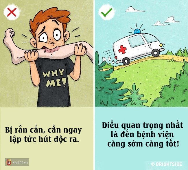 9 bí kíp sinh tồn sai be bét có cơ may báo hại bạn vào một ngày nào đó - Ảnh 1.