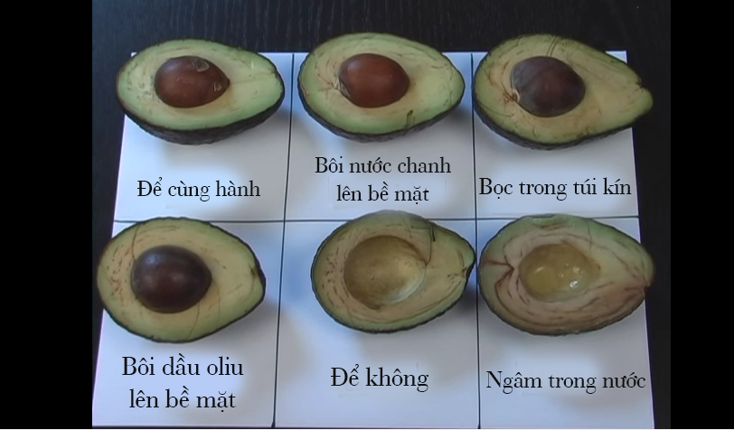 Học lỏm bộ bí kíp bảo quản bơ tươi ngon của nhà hàng - Ảnh 8. Học lỏm bộ bí kíp bảo quản bơ tươi ngon của nhà hàng - Ảnh 8.