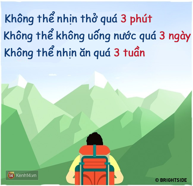 14 sự thật đơn giản mà có thể cứu sống bạn bất cứ lúc nào - Ảnh 5.