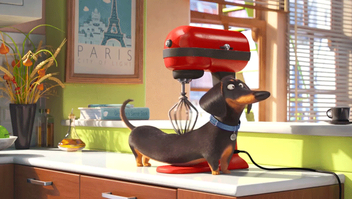 Điểm danh dàn thú cưng đẳng cấp trong The Secret Life Of Pets - Ảnh 16. Điểm danh dàn thú cưng đẳng cấp trong The Secret Life Of Pets - Ảnh 16.