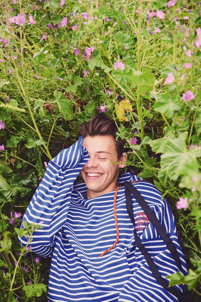 Harry Styles mà cứ thế này thì giới mẫu nam thất nghiệp mất! - Ảnh 8. Harry Styles mà cứ thế này thì giới mẫu nam thất nghiệp mất! - Ảnh 8.