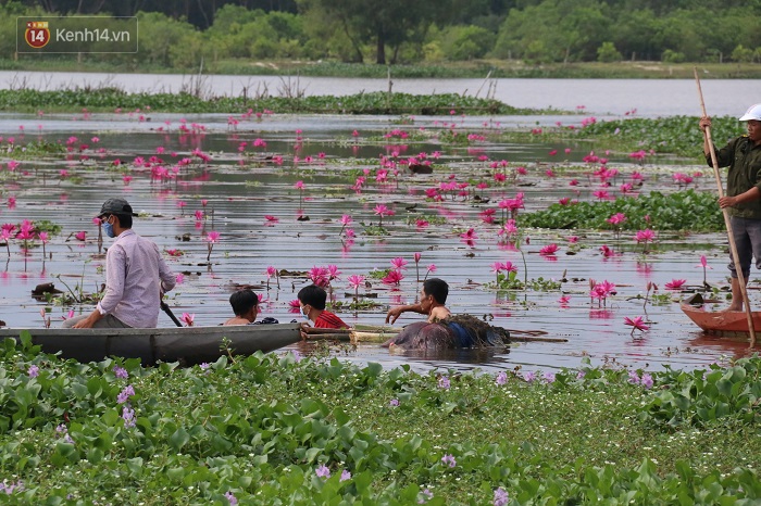 Đi bắt ốc, hoảng hồn phát hiện xác chết đang phân hủy, úp mặt xuống sông Đầm - Ảnh 1. Đi bắt ốc, hoảng hồn phát hiện xác chết đang phân hủy, úp mặt xuống sông Đầm - Ảnh 1.