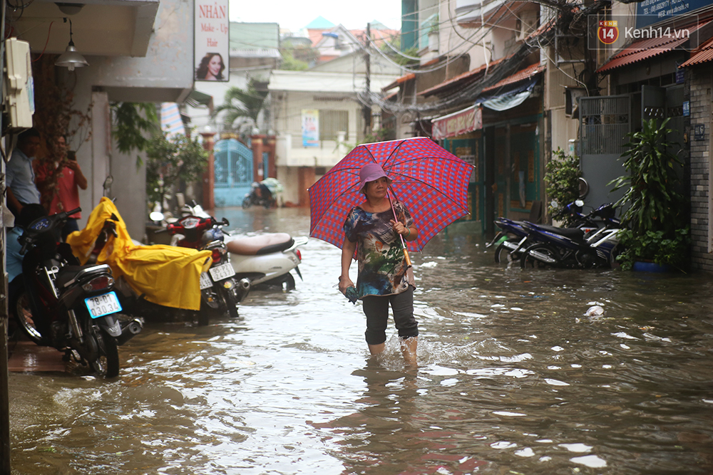 Sài Gòn lại ngập, chuyên gia nói gì về việc mưa đến chậm so với dự báo thời tiết? - Ảnh 14. Sài Gòn lại ngập, chuyên gia nói gì về việc mưa đến chậm so với dự báo thời tiết? - Ảnh 14.