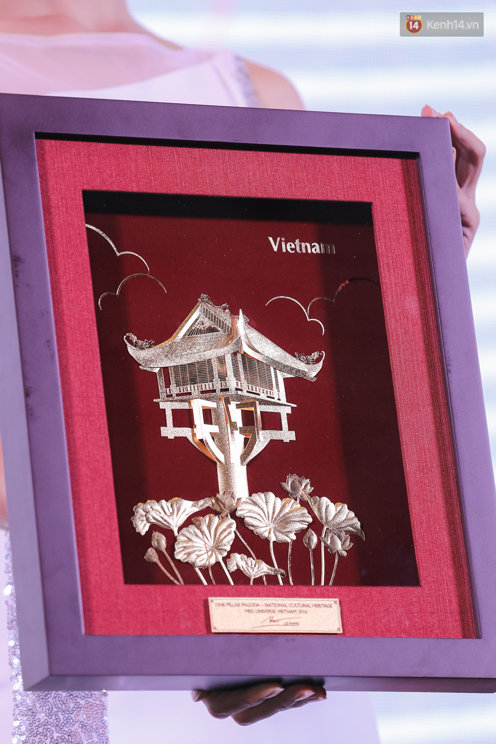 Lệ Hằng - đại diện Việt Nam tại Hoa hậu Hoàn Vũ 2016 - đọ nhan sắc cùng Phạm Hương, Á hậu Thiên Lý - Ảnh 12. Lệ Hằng - đại diện Việt Nam tại Hoa hậu Hoàn Vũ 2016 - đọ nhan sắc cùng Phạm Hương, Á hậu Thiên Lý - Ảnh 12.