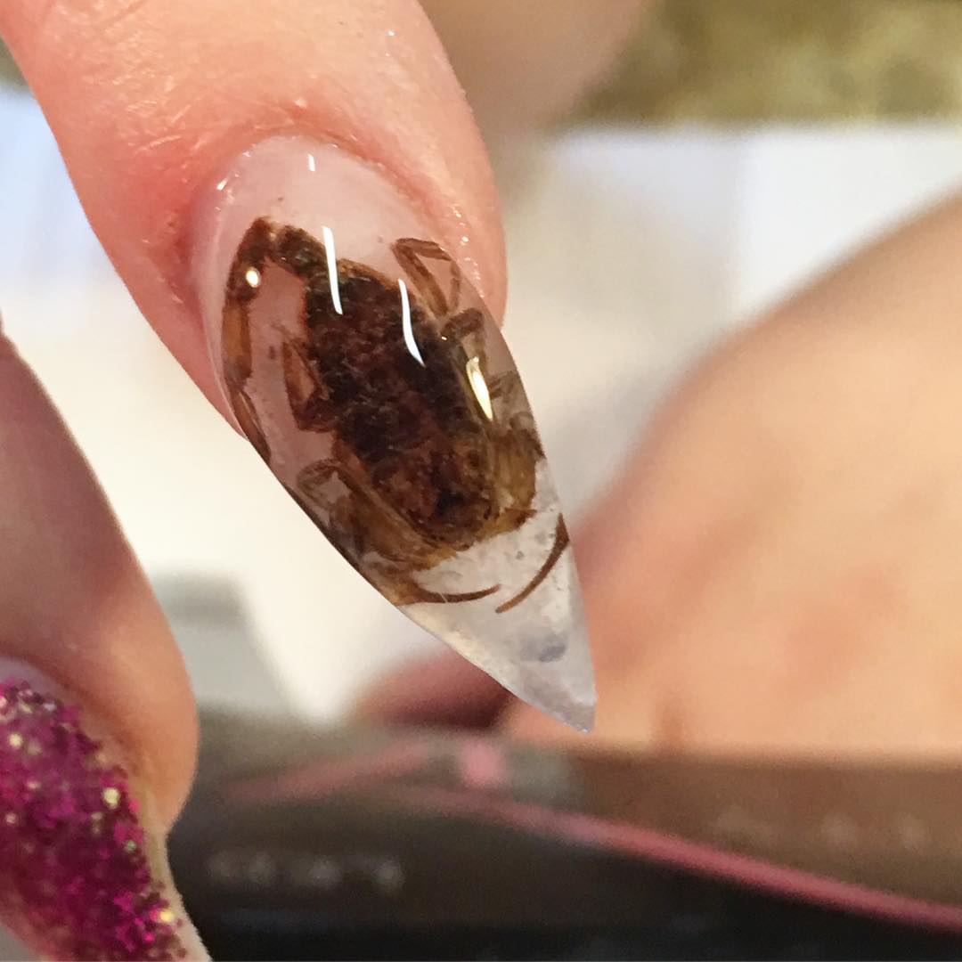 Có cho tiền cũng ít người dám chạy đua theo mốt đính xác động vật lên móng tay - Ảnh 6. Có cho tiền cũng ít người dám chạy đua theo mốt đính xác động vật lên móng tay - Ảnh 6.