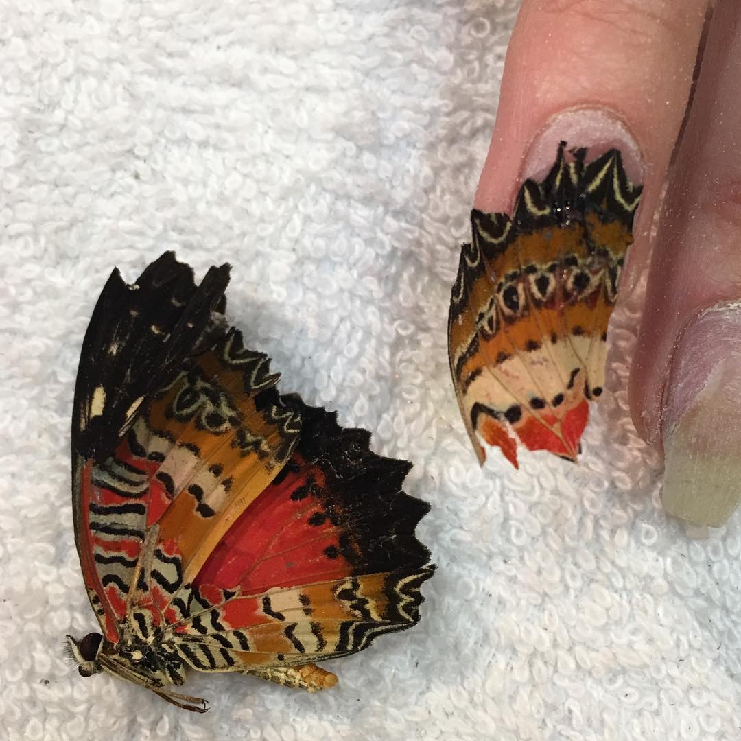 Có cho tiền cũng ít người dám chạy đua theo mốt đính xác động vật lên móng tay - Ảnh 2. Có cho tiền cũng ít người dám chạy đua theo mốt đính xác động vật lên móng tay - Ảnh 2.