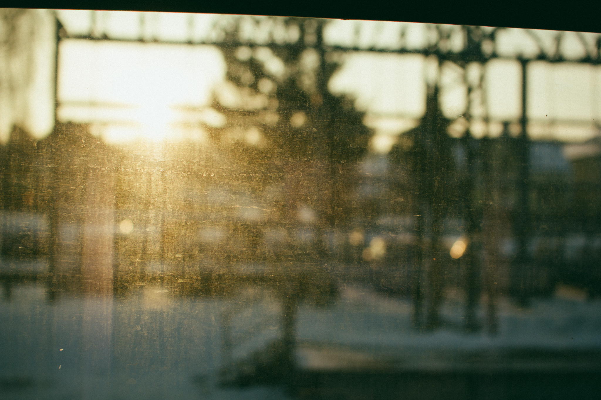 7 giây ở La La Land và lựa chọn của những kẻ khờ mộng mơ - Ảnh 5. 7 giây ở La La Land và lựa chọn của những kẻ khờ mộng mơ - Ảnh 5.